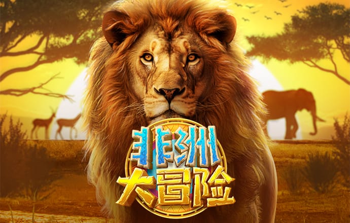 bob博鱼官网登录